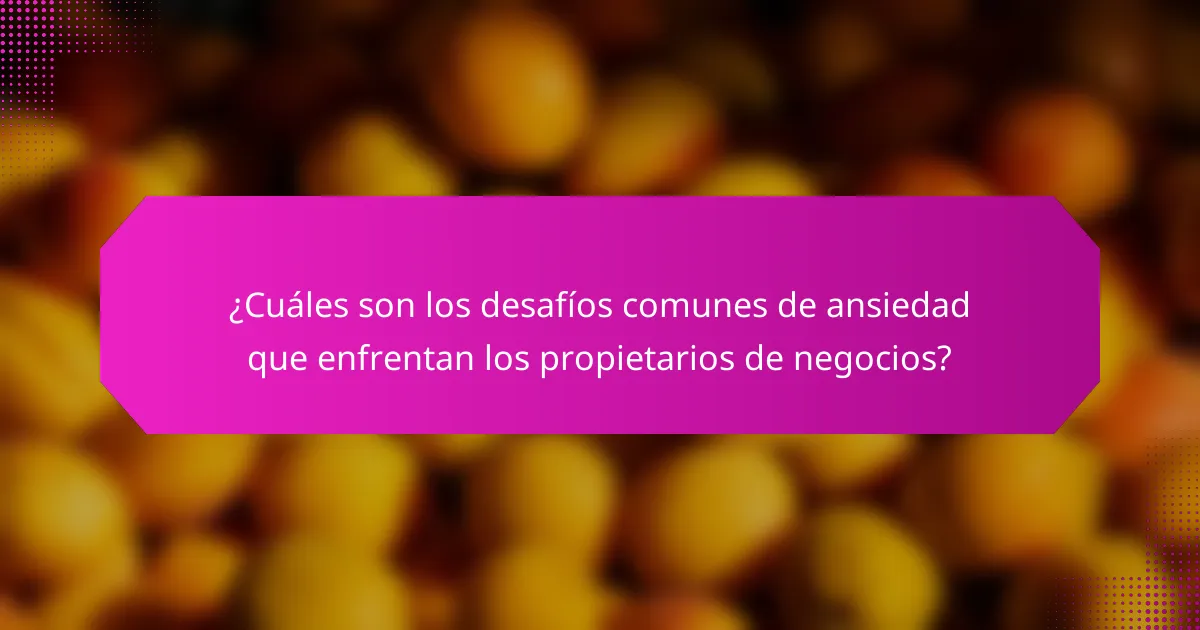 ¿Cuáles son los desafíos comunes de ansiedad que enfrentan los propietarios de negocios?