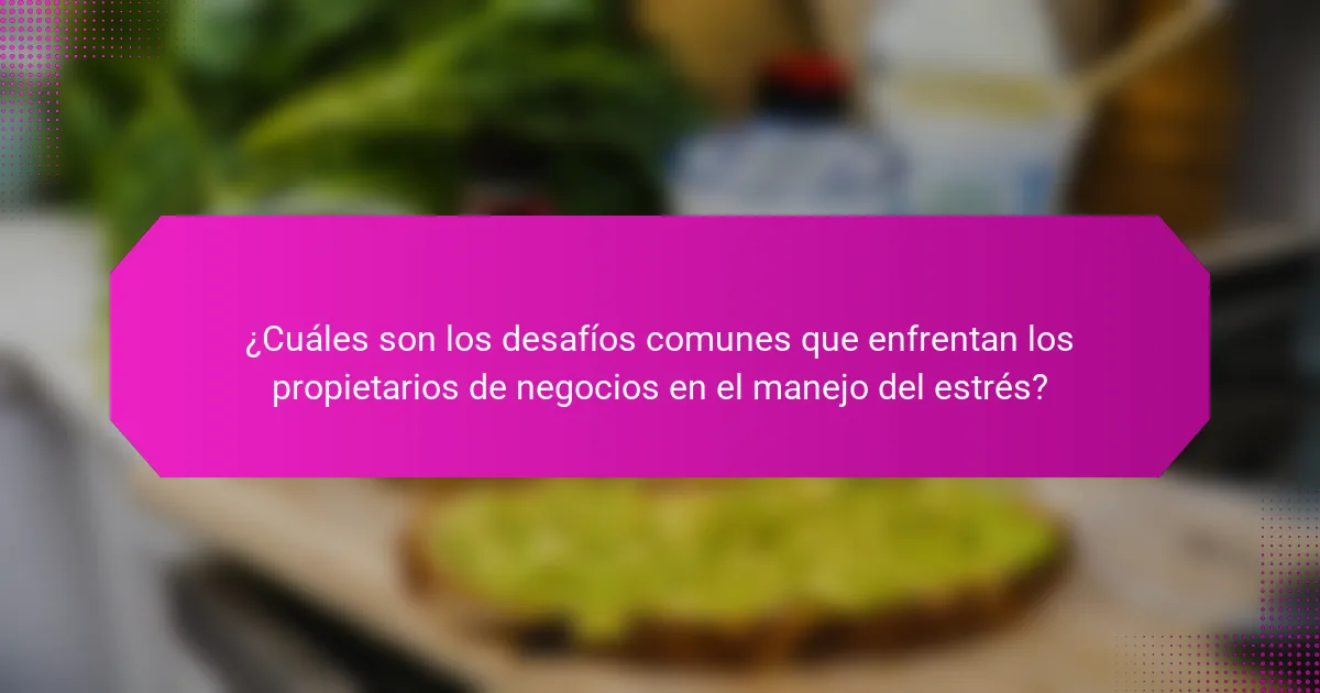 ¿Cuáles son los desafíos comunes que enfrentan los propietarios de negocios en el manejo del estrés?