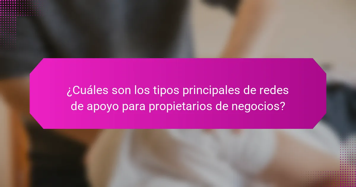 ¿Cuáles son los tipos principales de redes de apoyo para propietarios de negocios?