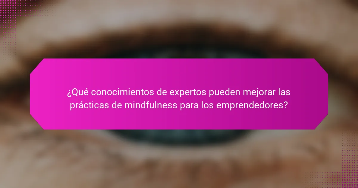 ¿Qué conocimientos de expertos pueden mejorar las prácticas de mindfulness para los emprendedores?