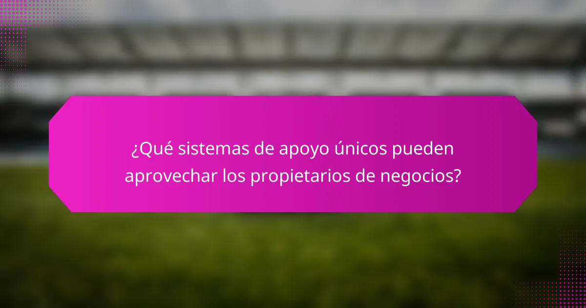 ¿Qué sistemas de apoyo únicos pueden aprovechar los propietarios de negocios?
